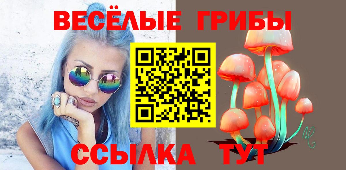 Надым  Псилоцибиновые грибы MAGIC MUSHROOMS  Вход с VPN 